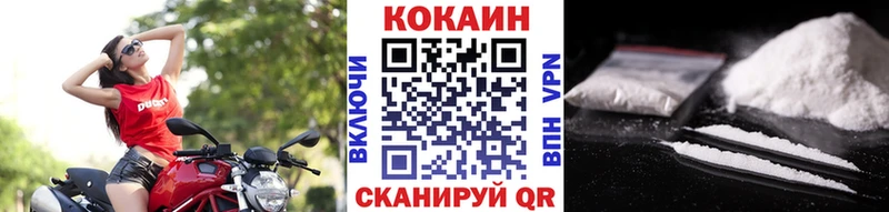 где можно купить наркотик  Дубовка  COCAIN FishScale 