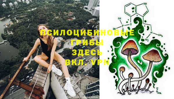 не бодяженный Горнозаводск